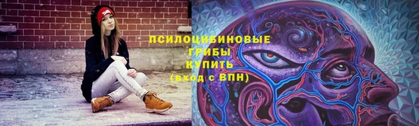 стафф Богородицк